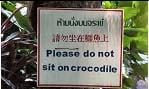 Cocodrilo Cocodrilo